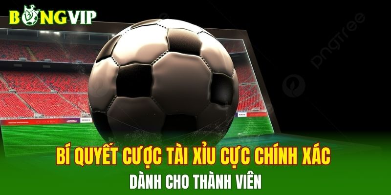 Bí quyết cược tài xỉu cực chính xác dành cho thành viên