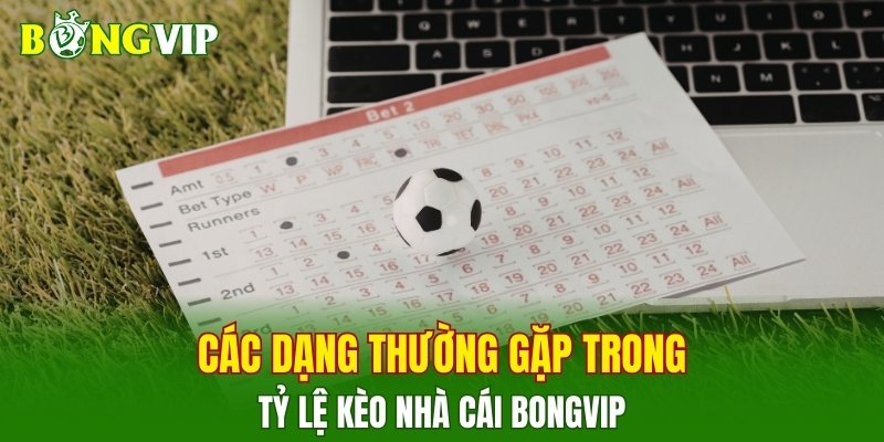Các dạng thường gặp trong tỷ lệ kèo nhà cái BONGVIP