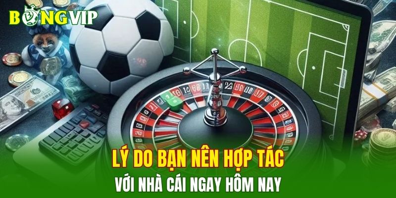 Lý do bạn nên hợp tác với nhà cái ngay hôm nay
