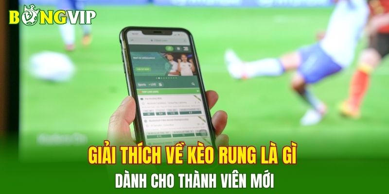 Giải thích về kèo rung là gì dành cho thành viên mới