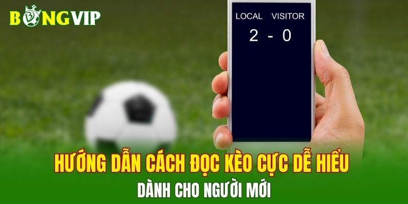 Hướng dẫn cách đọc kèo cực dễ hiểu giúp người mới đặt cược nhanh chóng