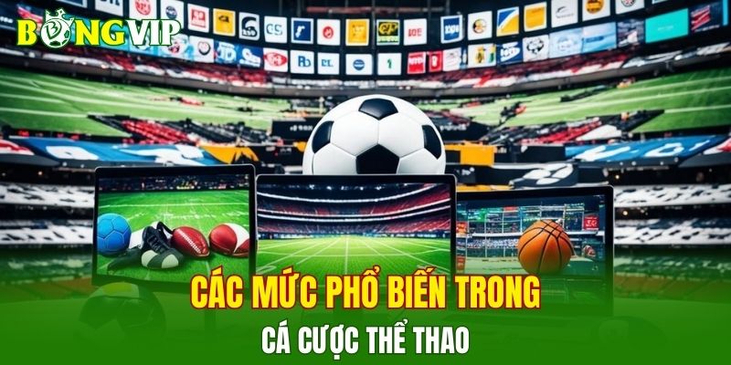 Các mức phổ biến trong cá cược thể thao