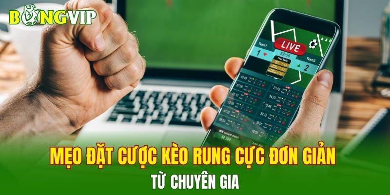 Mẹo đặt cược kèo rung cực đơn giản từ chuyên gia