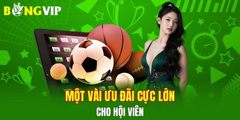 Một vài ưu đãi cực lớn cho hội viên
