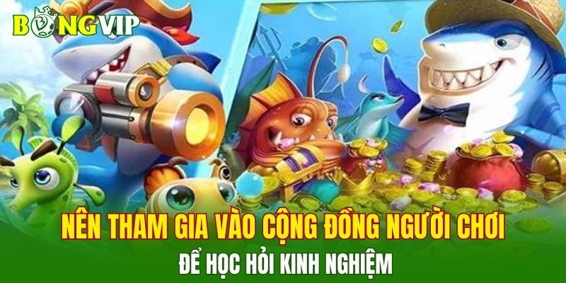 Nên tham gia vào cộng đồng người chơi để học hỏi kinh nghiệm