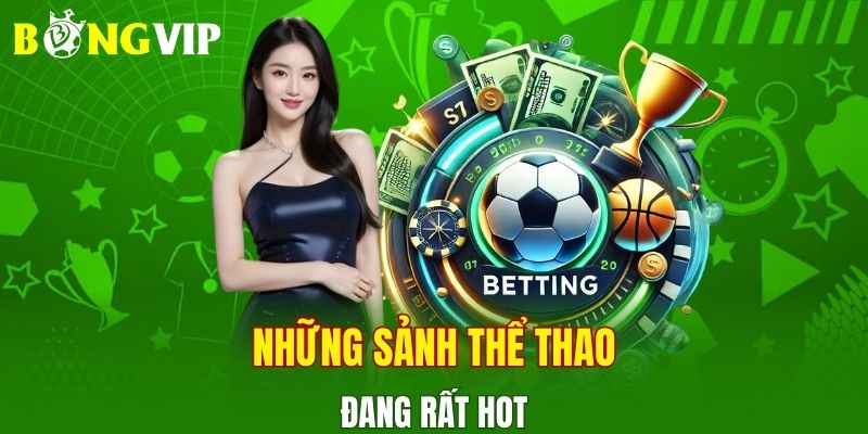 Những sảnh thể thao đang rất hot