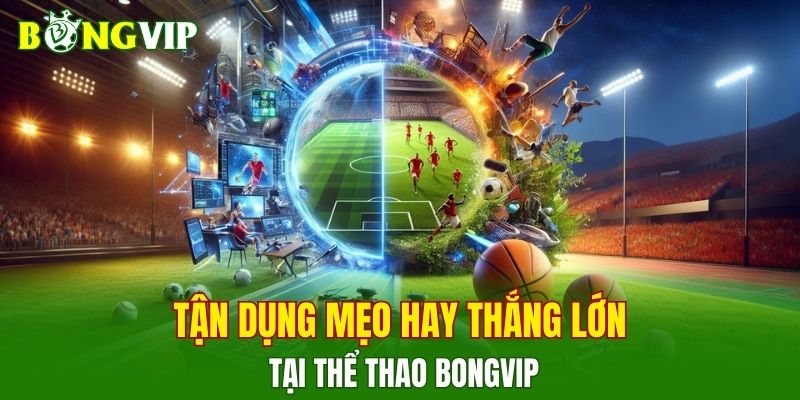 Tận dụng mẹo hay thắng lớn tại thể thao BONGVIP