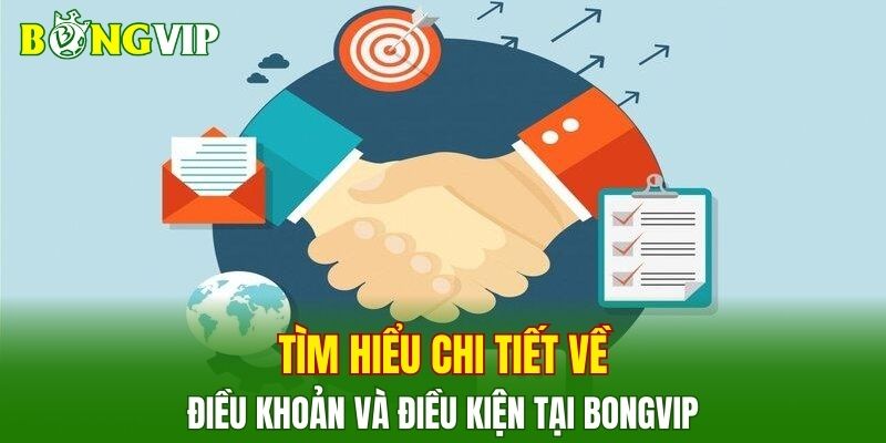 Tìm hiểu chi tiết về điều khoản và điều kiện tại BONGVIP