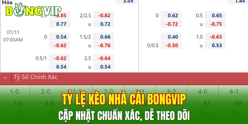 Tỷ Lệ Kèo Nhà Cái BONGVIP