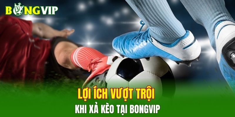 Xả kèo tại nhà cái hỗ trợ kiểm soát vốn linh hoạt